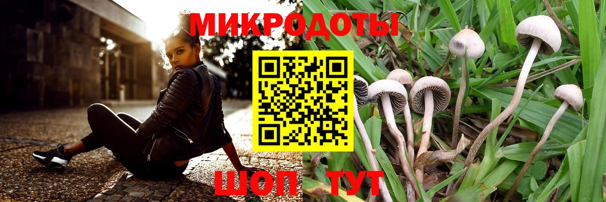 Псилоцибиновые грибы мухоморы  Псилоцибиновые грибы мухоморы  Вход с VPN  Кызыл 